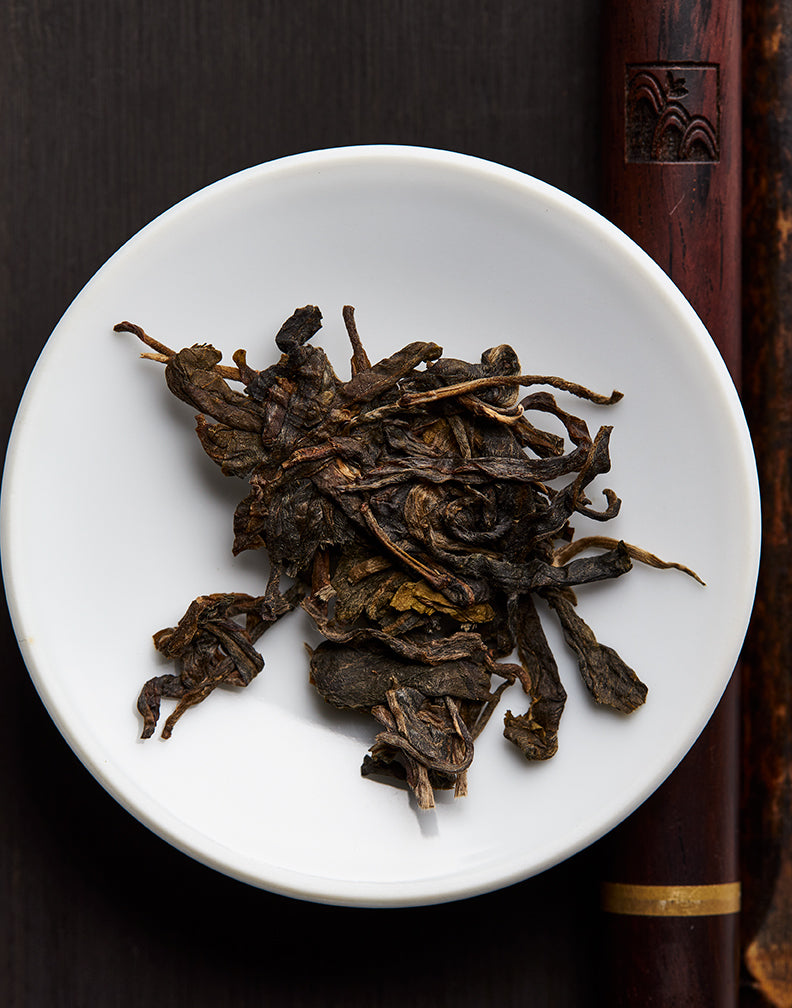 Pu-erh's Ancient Roots