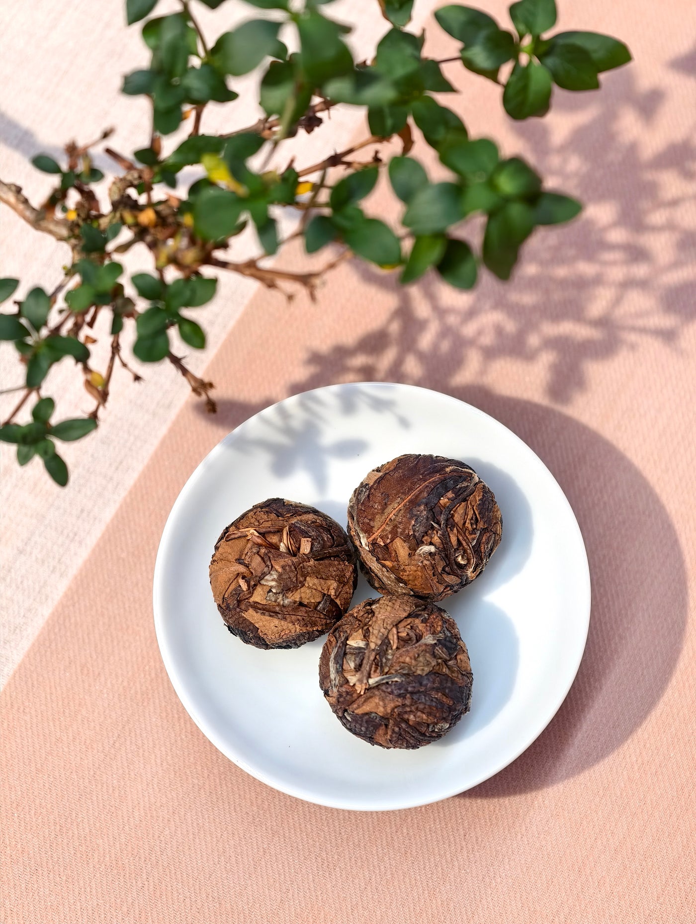 2024 Bingdao White Tea