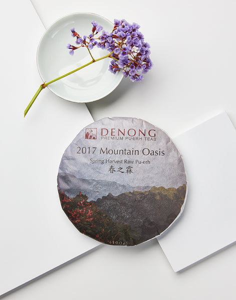 2017 Mountain Oasis
