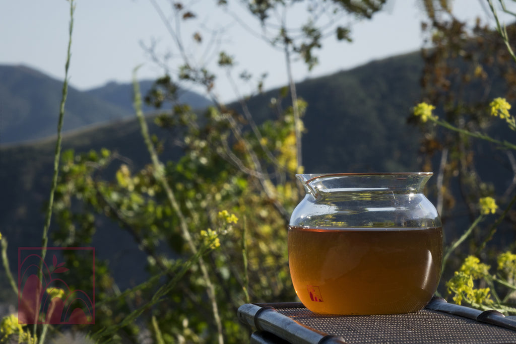 Drinking Tea in Memory of the Past