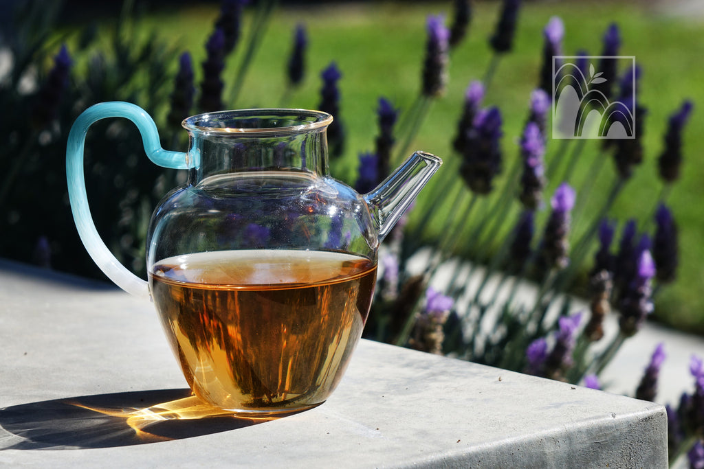 Drinking Pu-erh Outdoors