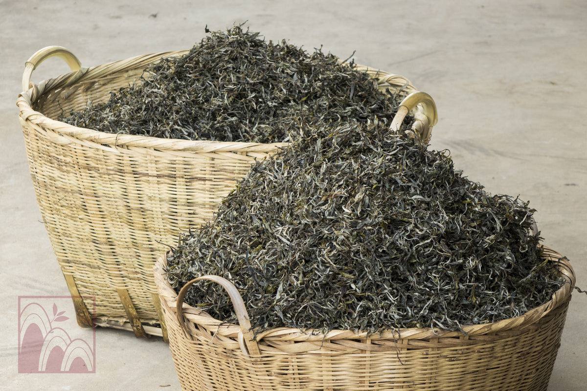 The Wonders of Yunnan: Tea, as Far as the Eye Can See – Denong Tea