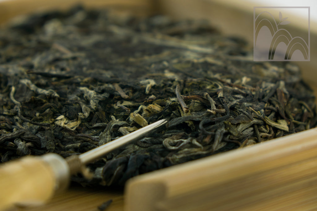 Why Pu-erh Tea Has Always Been The “It” Tea