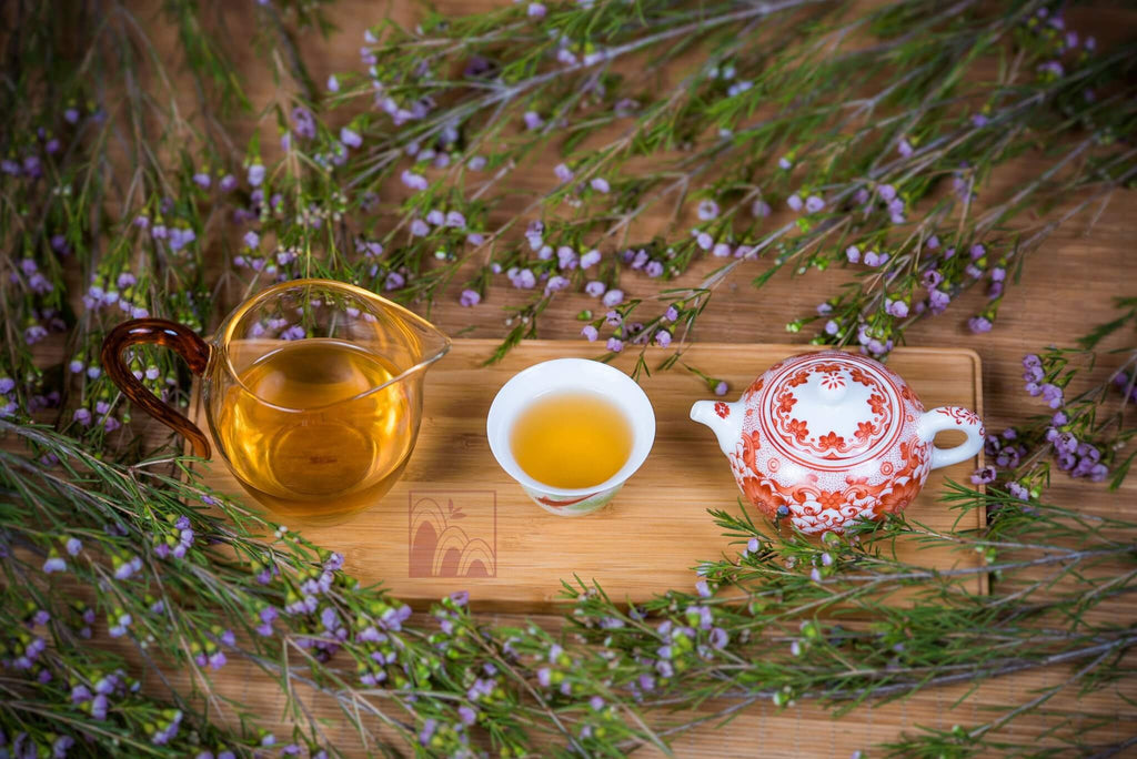 Strengthen Your Immune System with Pu-erh Tea