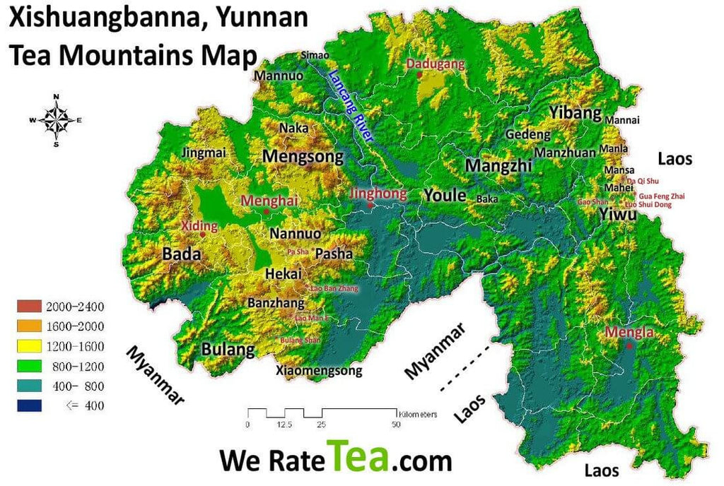 Comparing Famous Pu-erh Tea Mountains