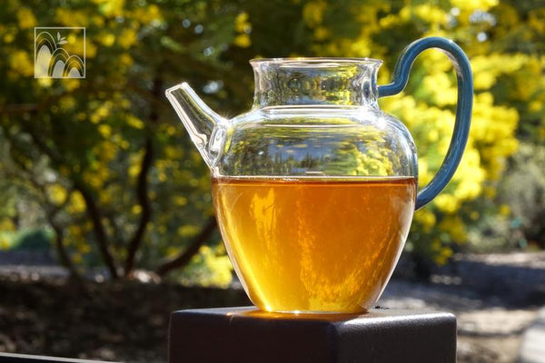 Raw Pu-erh Tea Tasting - Subject to Availability